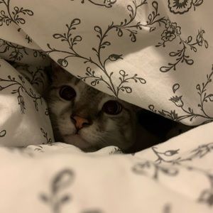 Meet your Posher, Calleigh